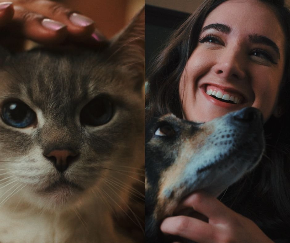 Petlove lança campanha pelo Dia do Pet Idoso com foco em conscientização e adoção