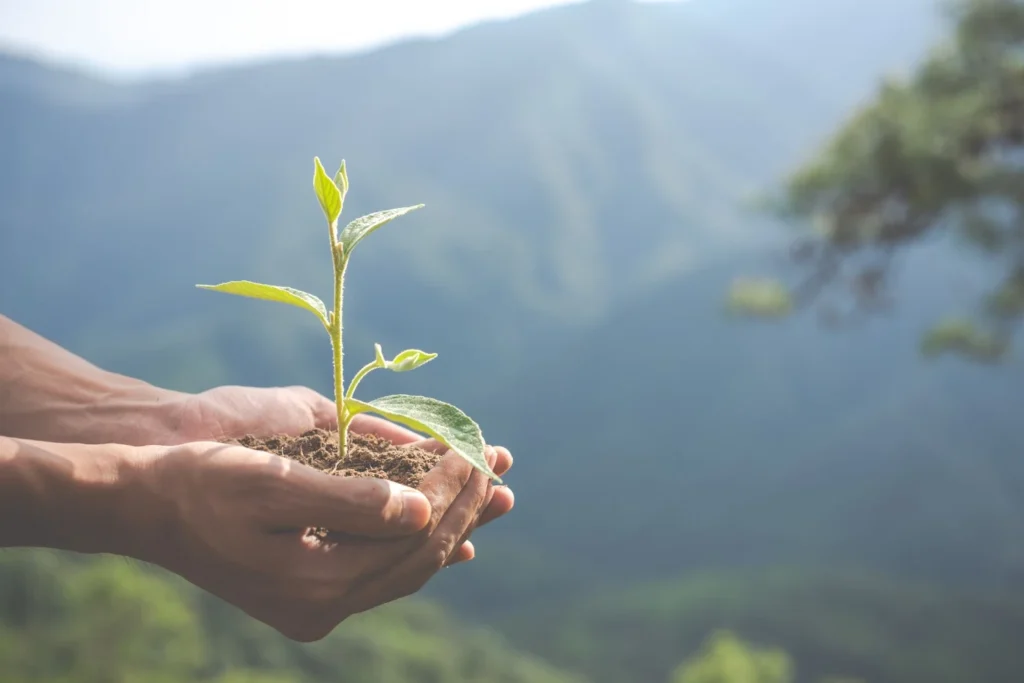 Sustentabilidade ganha espaço nas estratégias corporativas durante o Mês do Meio Ambiente