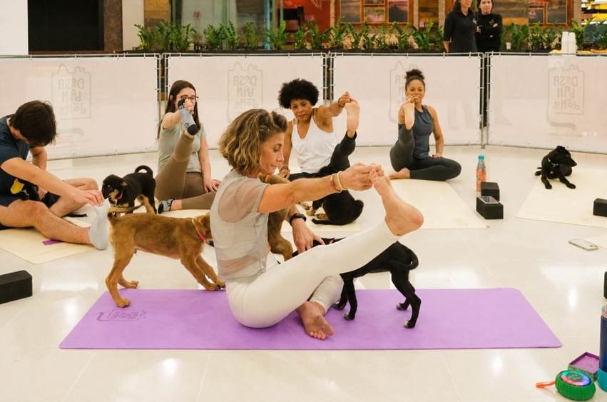 Shopping Market Place promove 2ª edição do Dog Yoga com evento de adoção de filhotes